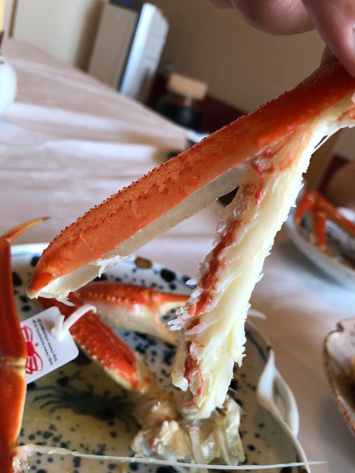 望洋樓的越前蟹