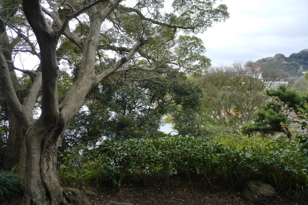 星野界熱海：海景溫泉與住宿體驗