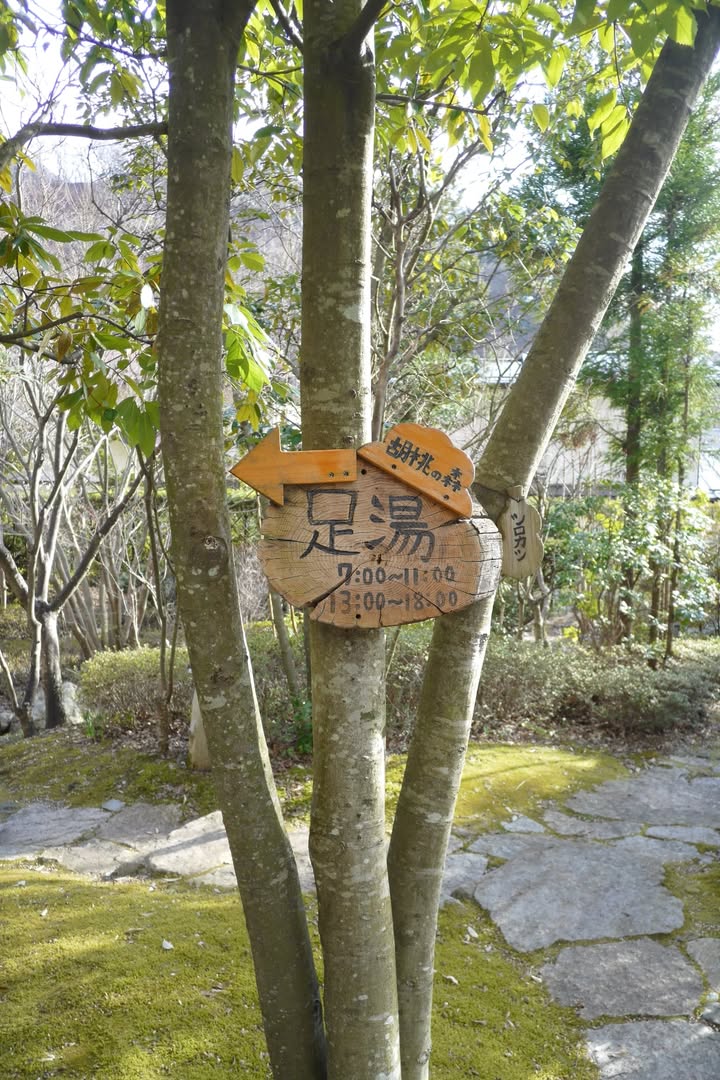 星野界川治：環境