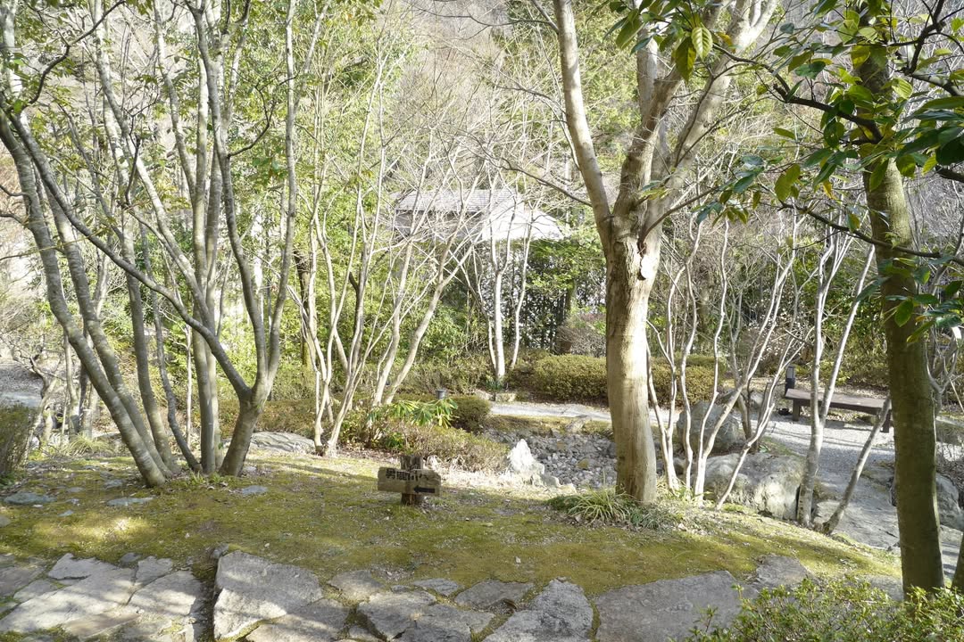 星野界川治：環境