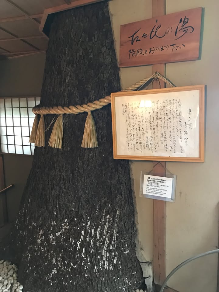 星野界熱海：海景溫泉與住宿體驗