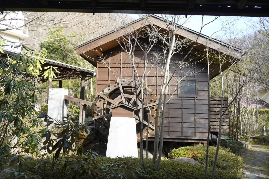 星野界川治：環境