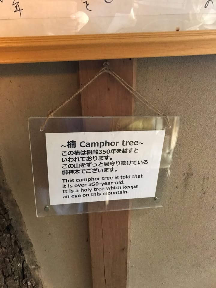 星野界熱海：海景溫泉與住宿體驗