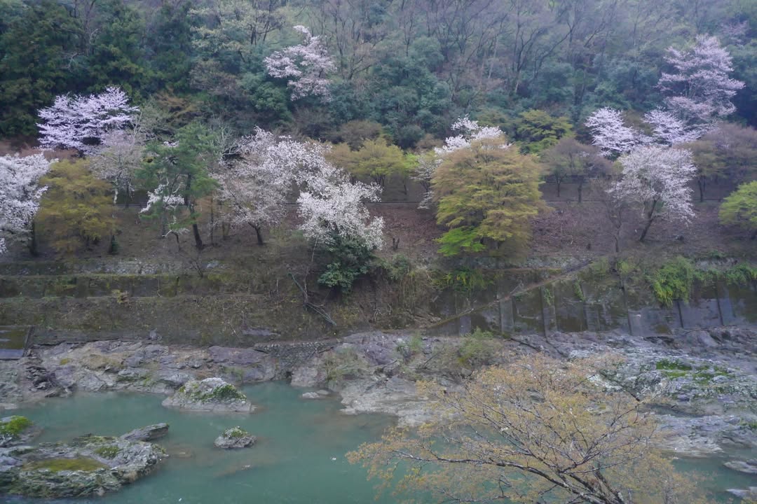 虹夕諾雅京都：Reception、迎賓船、環境