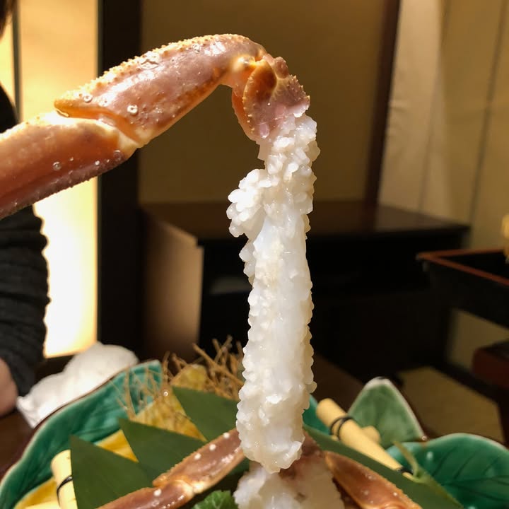 星野界加賀：越前蟹套餐與住宿體驗