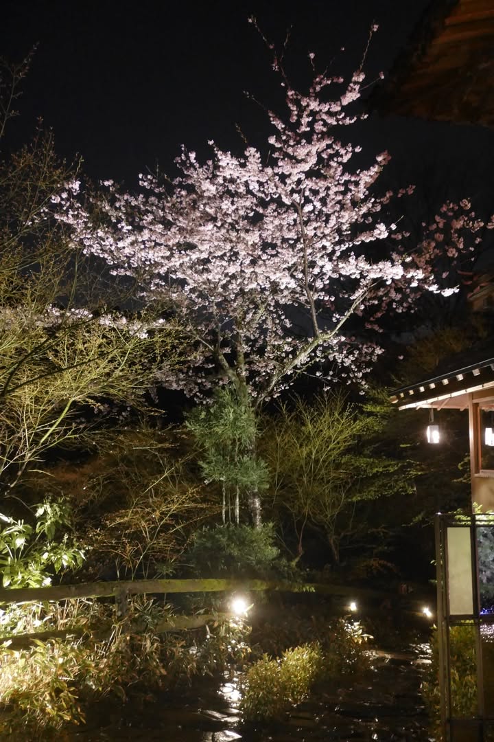 虹夕諾雅京都：Reception、迎賓船、環境