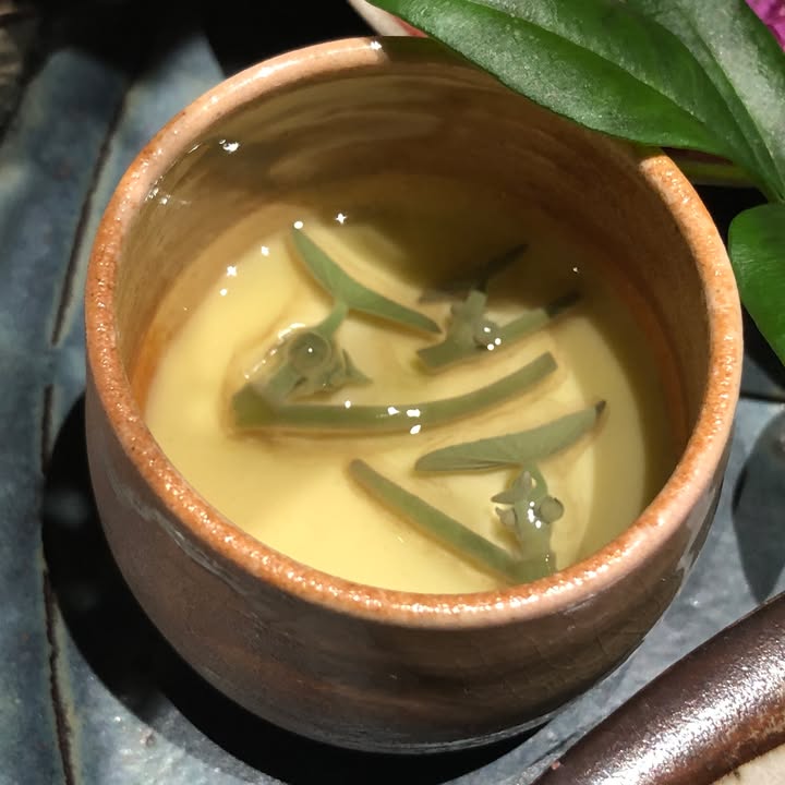 星野界阿蘇：森林露天湯與會席料理