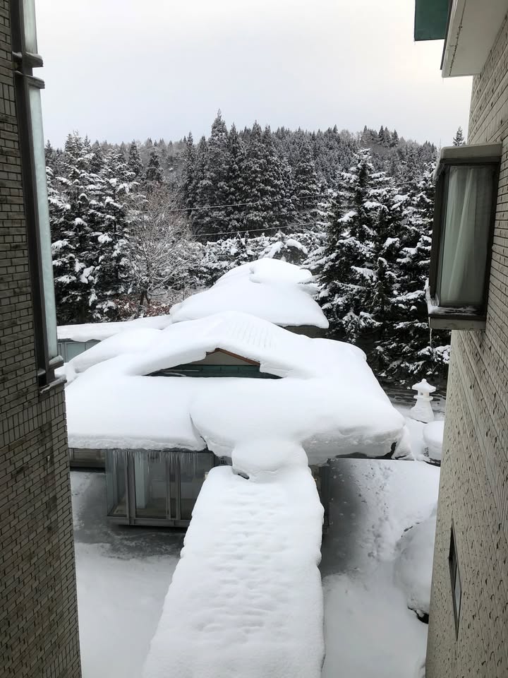 星野界津輕：雪季蘋果湯與青森住宿體驗